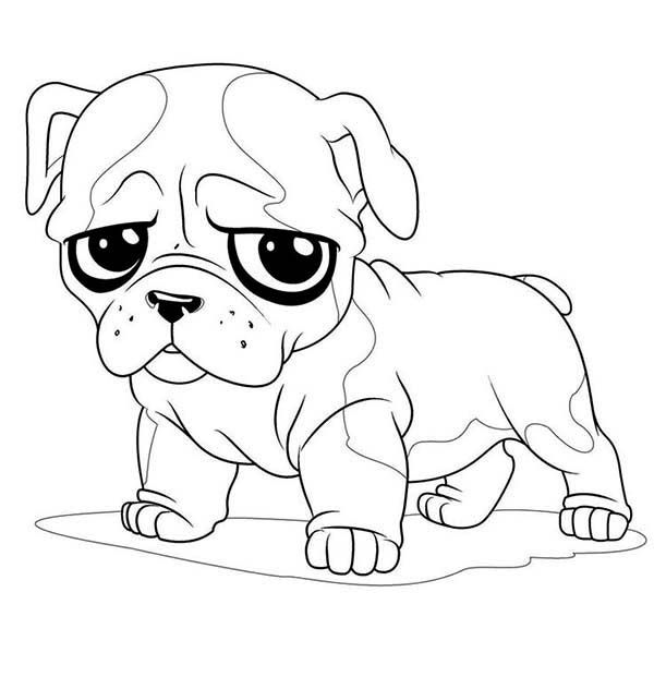 Pug Coloring Pages Puppy