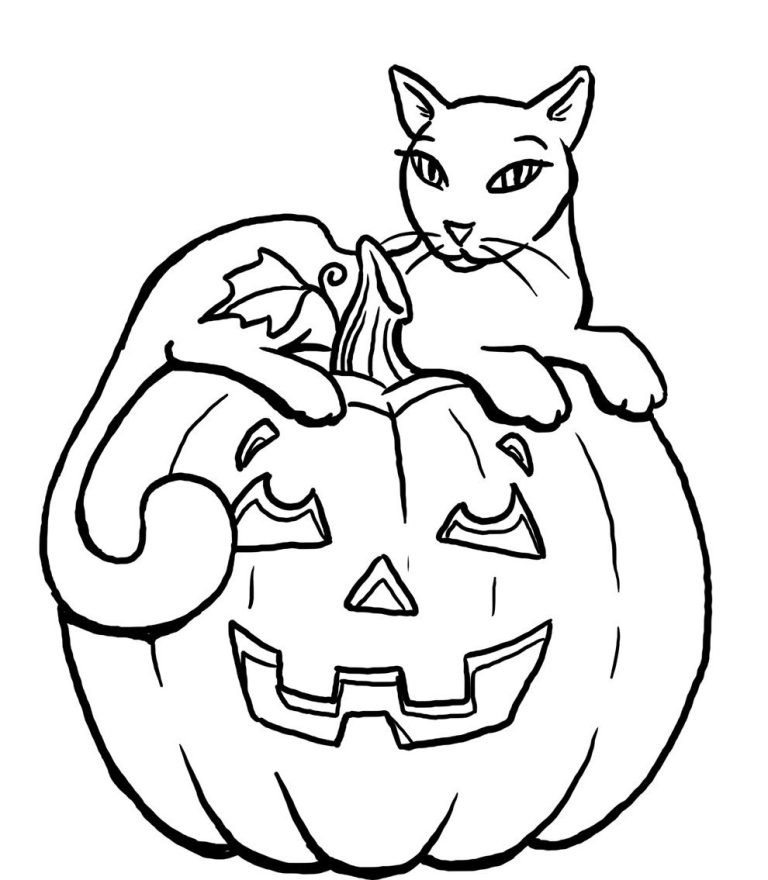 Detailed Halloween Cat Coloring Pages