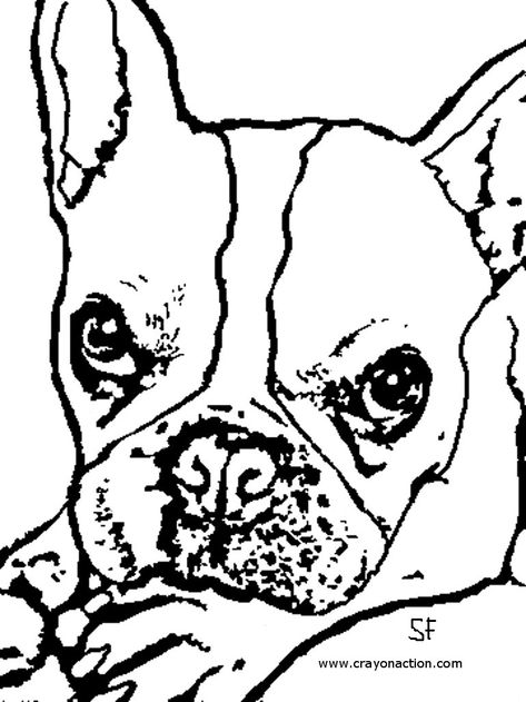 French Bulldog Puppy Coloring Dog Coloring Pages