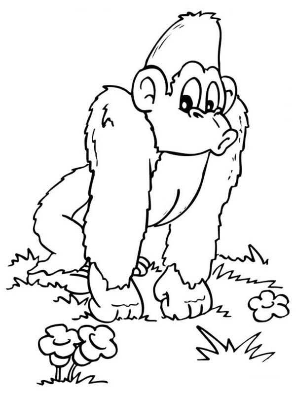 Easy Gorilla Coloring Pages
