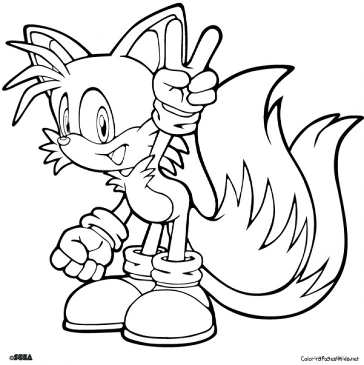 Sonic The Hedgehog Sonic And Tails Coloring Pages
