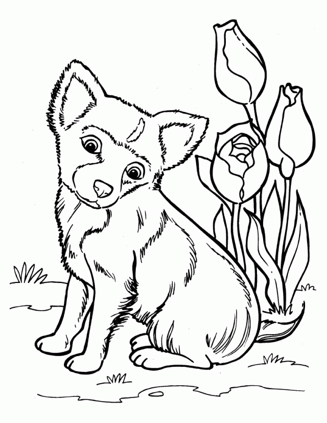 Husky Coloring Pages Of Dogs