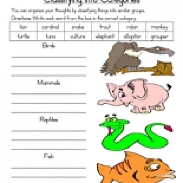 2nd Grade Grade 2 Science Worksheets Animals