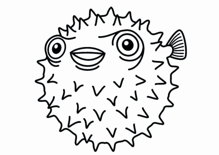 Puffer Fish Pictures To Color