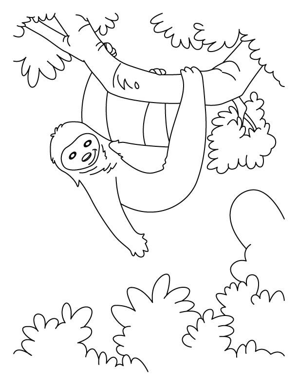 Print Out Free Printable Sloth Coloring Pages