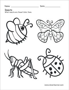 Insect Coloring Pages For Toddlers