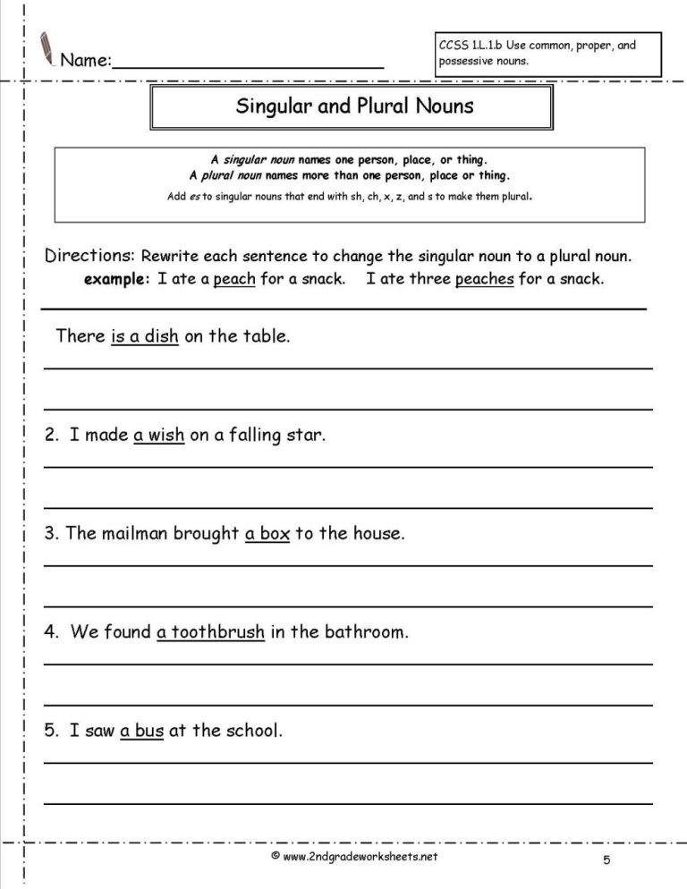 Grade 5 Singular And Plural Nouns Sentences Worksheets