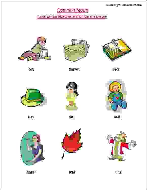 Beginner Common And Proper Nouns Worksheets For Grade 1 With Answers