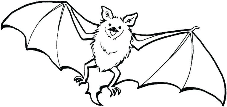 Coloring Book Bat Colouring Pages