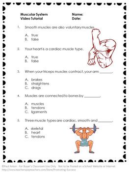 Science Worksheets For Grade 5 Human Body