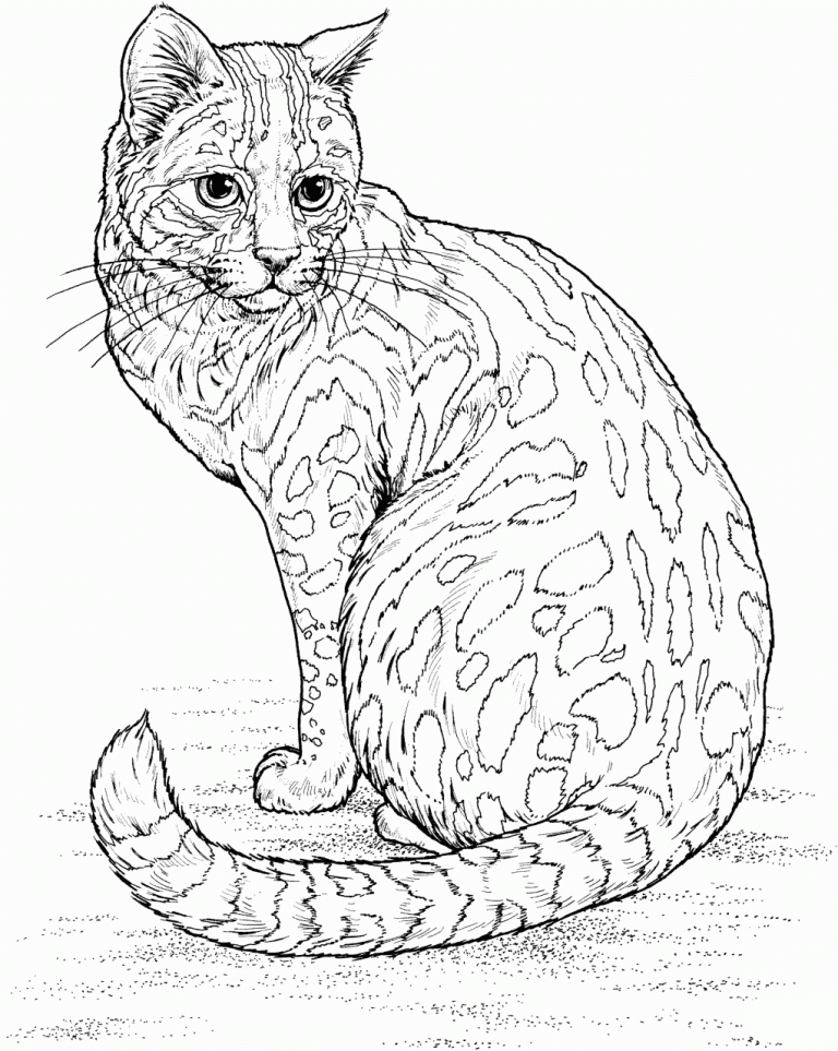 Detailed Realistic Animal Coloring Pages