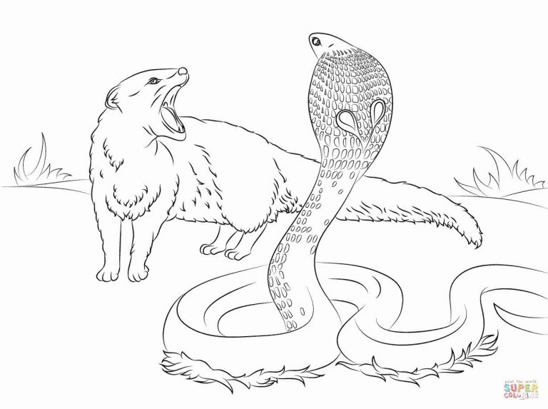 Realistic Printable Animal Coloring Pages