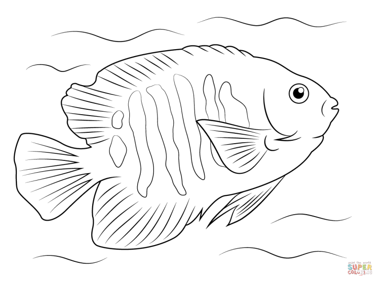 Coral Reef Fish Tropical Fish Coloring Pages