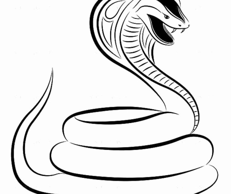 King Cobra Snake Colouring Pages