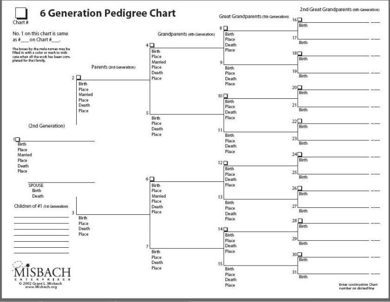 Family Tree Pedigree Charts Worksheet
