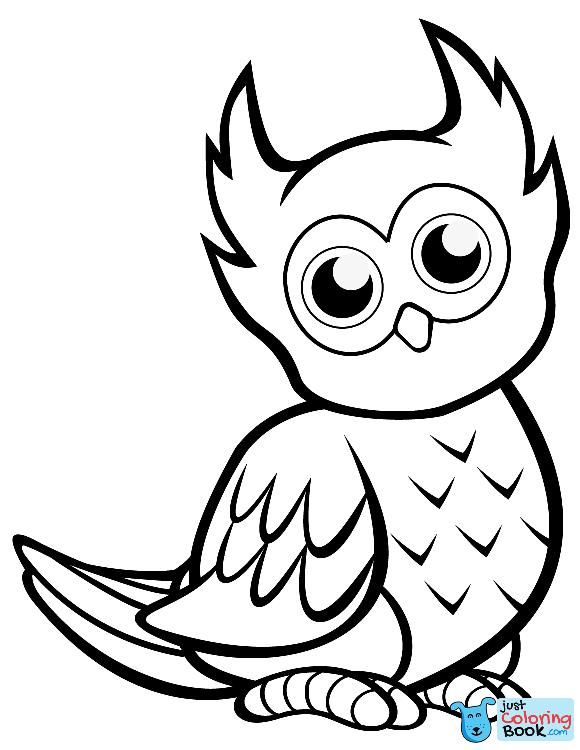 Owl Outline Adorable Cute Owl Coloring Pages