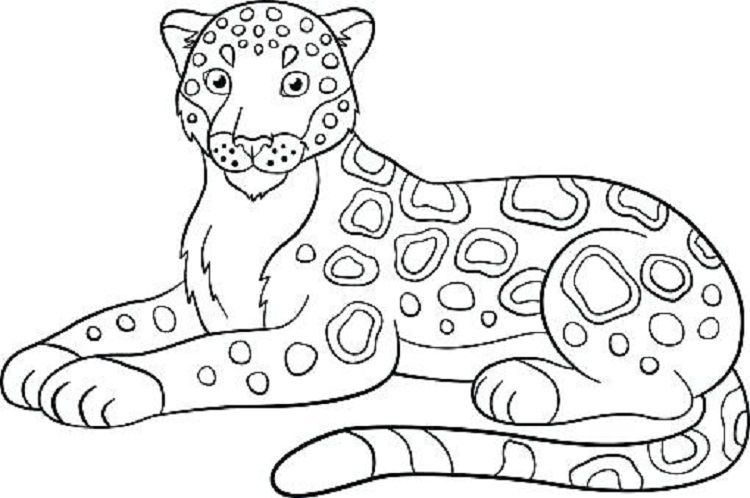 Jaguar Coloring Pages For Kids