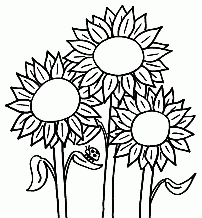 Clipart Flower Coloring Book