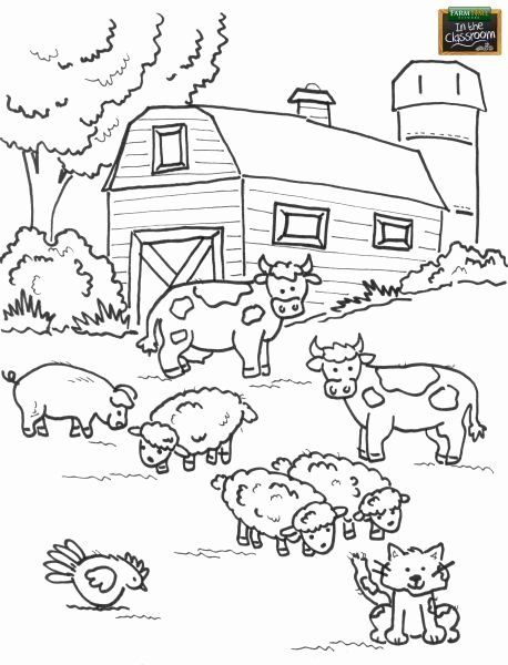 Coloring Sheet Kindergarten Farm Animals Coloring Pages