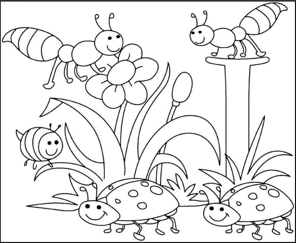 Coloring Worksheets For Toddlers Pdf