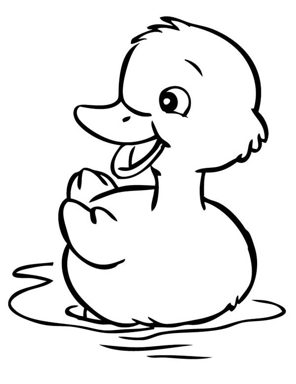 Duck Coloring Image