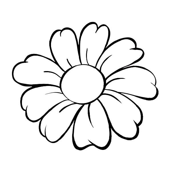 Daisy Coloring Pages Printable