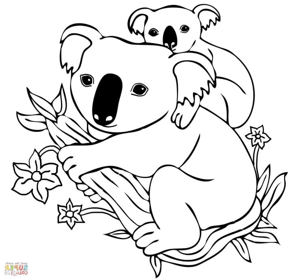 Koala Coloring Pages Free