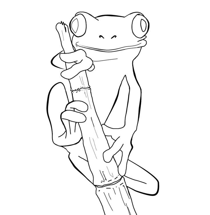 Printable Red Eyed Tree Frog Coloring Page