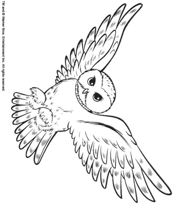 Snow Owl Easy Owl Coloring Pages