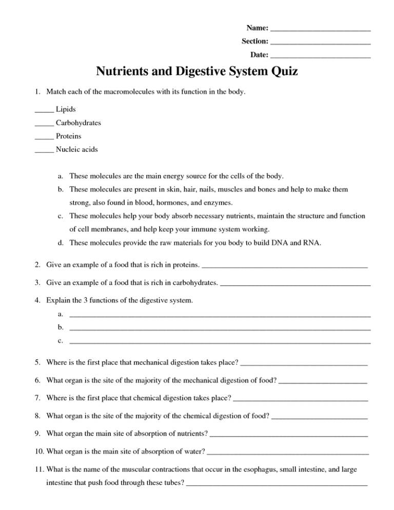 Real Number System Worksheet Doc