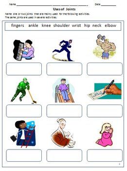 Science Worksheets For Grade 2 Human Body