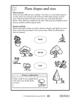 2nd Grade Science Worksheets On Plants