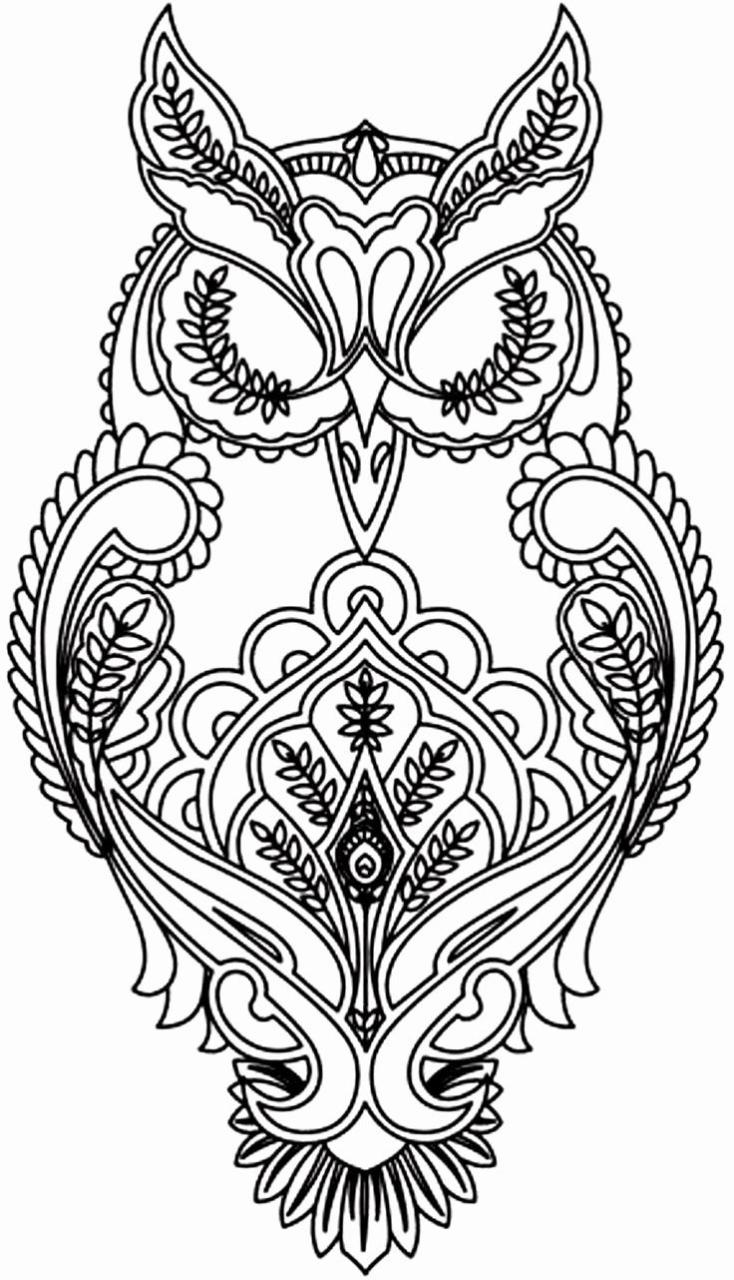 Difficult Realistic Owl Coloring Pages