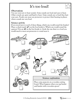 Kindergarten Science Worksheets For Kids