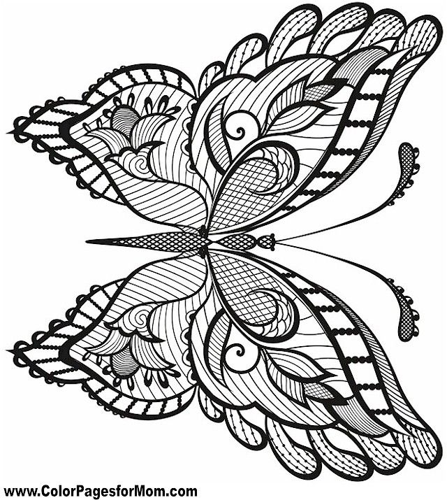 Copyright Free Free Printable Full Size Butterfly Coloring Pages