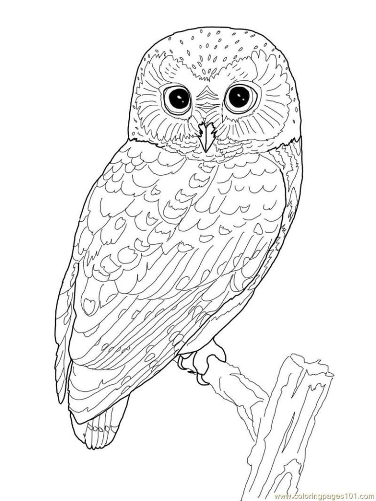 Free Printable Mother Earth Coloring Pages