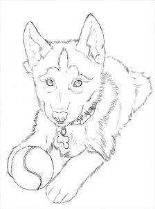 Easy Husky Coloring Pages