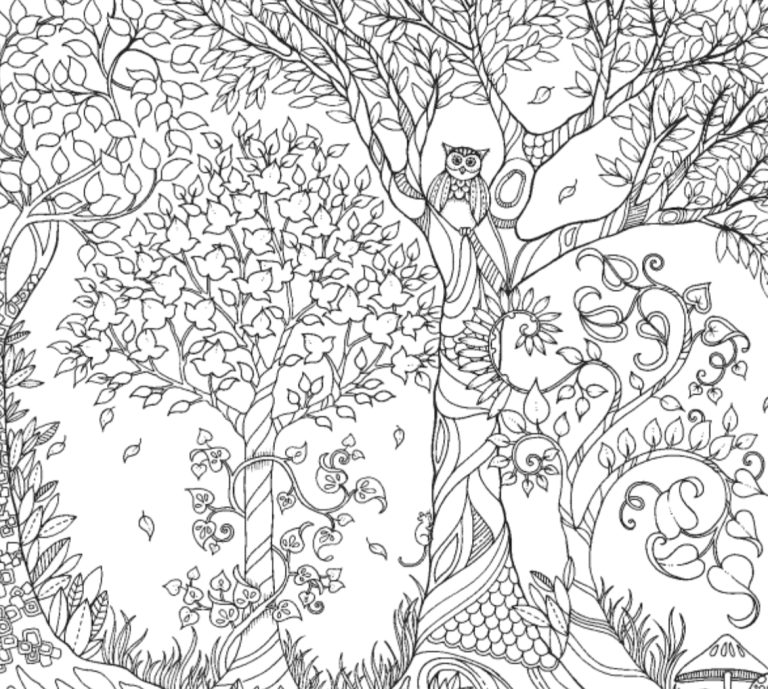 Secret Garden Printable Enchanted Forest Coloring Pages