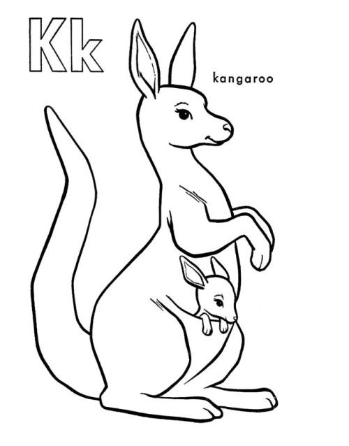 Kangaroo Coloring Page Free