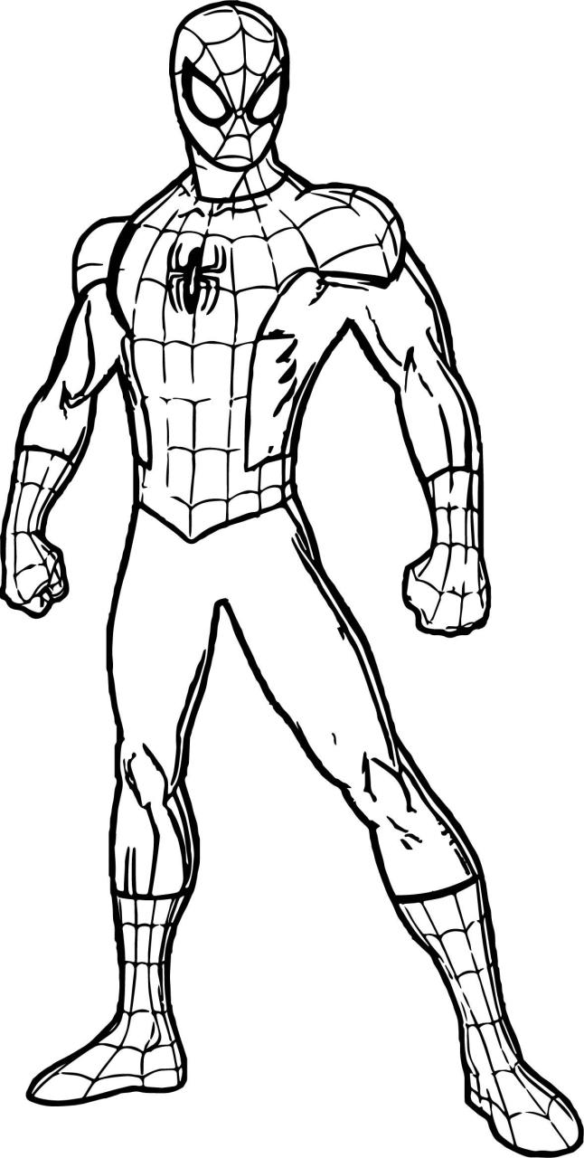 Black Spiderman Pictures To Color