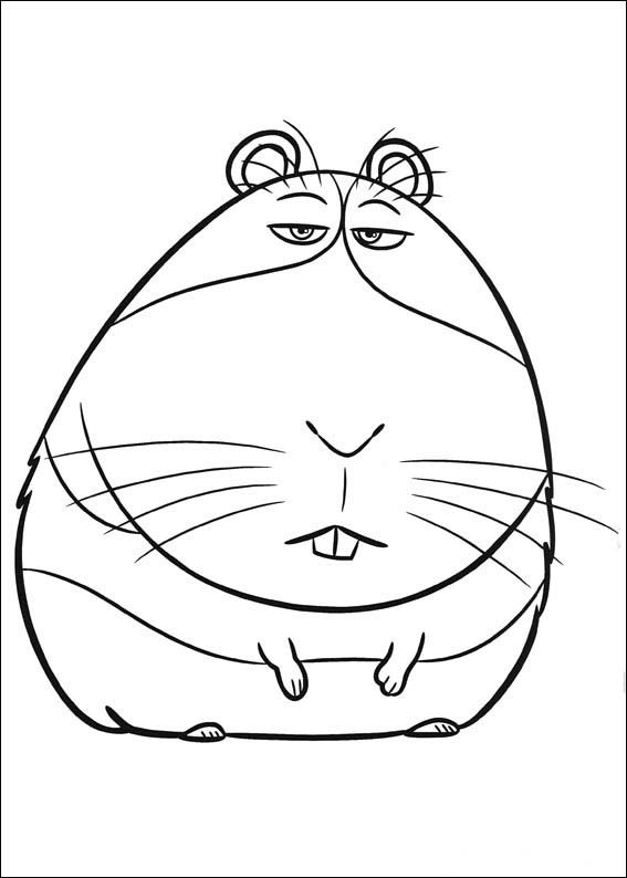 Printable Secret Life Of Pets Coloring Pages