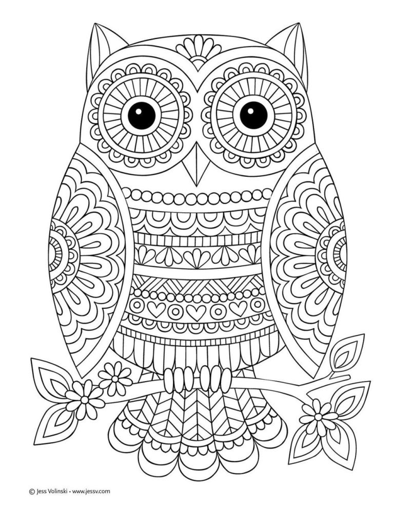 Adorable Cute Owl Coloring Pages