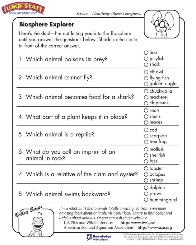 Year 3 Worksheets Science
