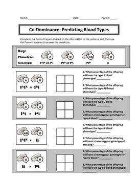 Incomplete Dominance And Codominance Worksheet Answers