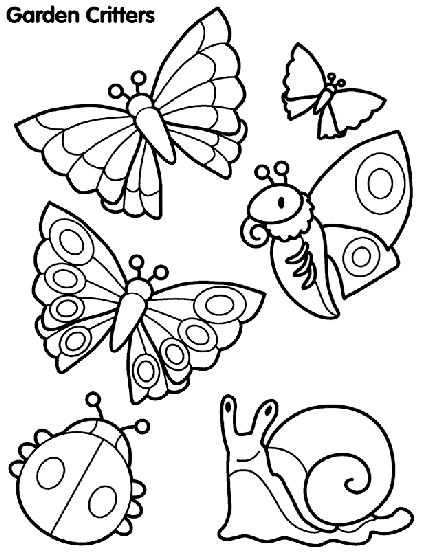 Insect Coloring Pages Free