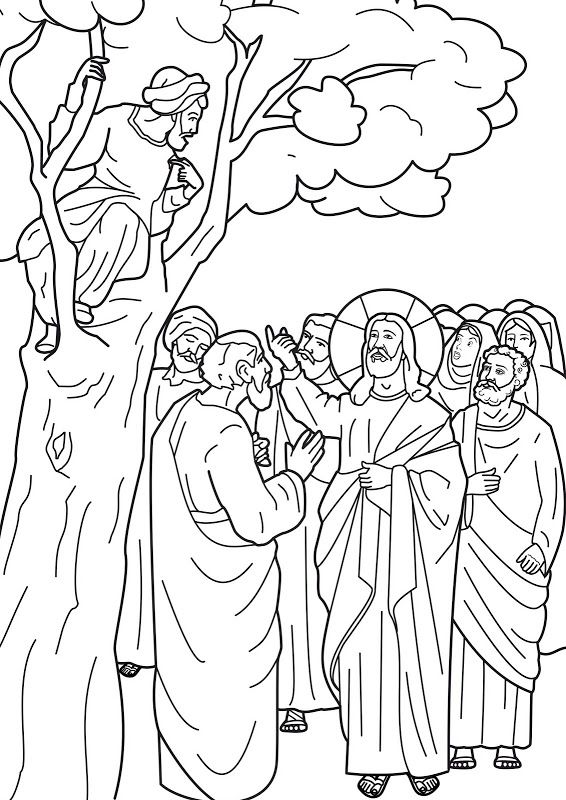 Zacchaeus Coloring Page Free