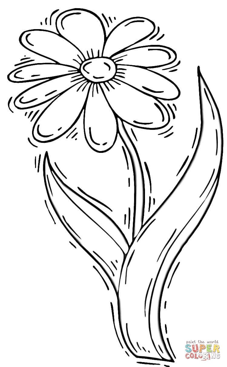 Daisy Coloring Pages For Kids