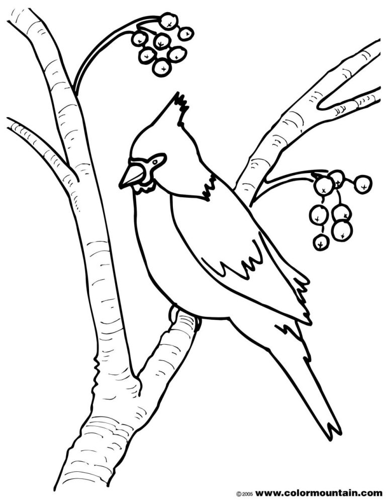 Burgess Bird Book Coloring Pages