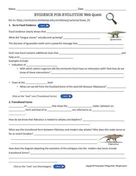Evolution Worksheet Answers
