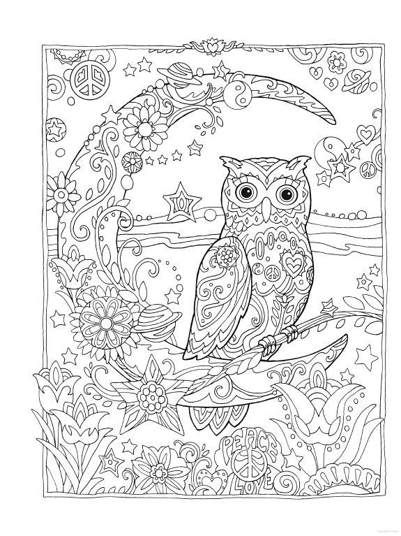 Owl Intricate Coloring Pages